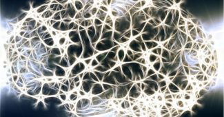 What are neuron axons?