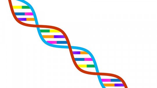 Genetic determinism: what it is and what it implies in science
