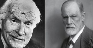 The 8 differences between psychoanalysis and analytical psychology