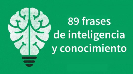 89 sentences on intelligence and knowledge