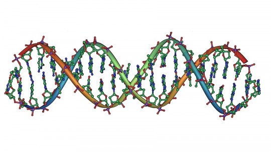 non-mendelian-inheritance-what-it-is-examples-and-genetic-mechanisms