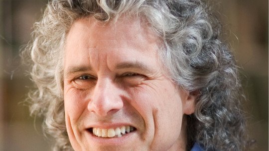 Steven Pinker Biography Theory And Main Contributions Nuovo