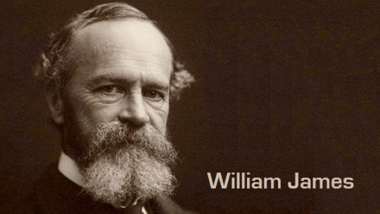 William James Life And Work Of The Father Of Psychology In America Nuovo